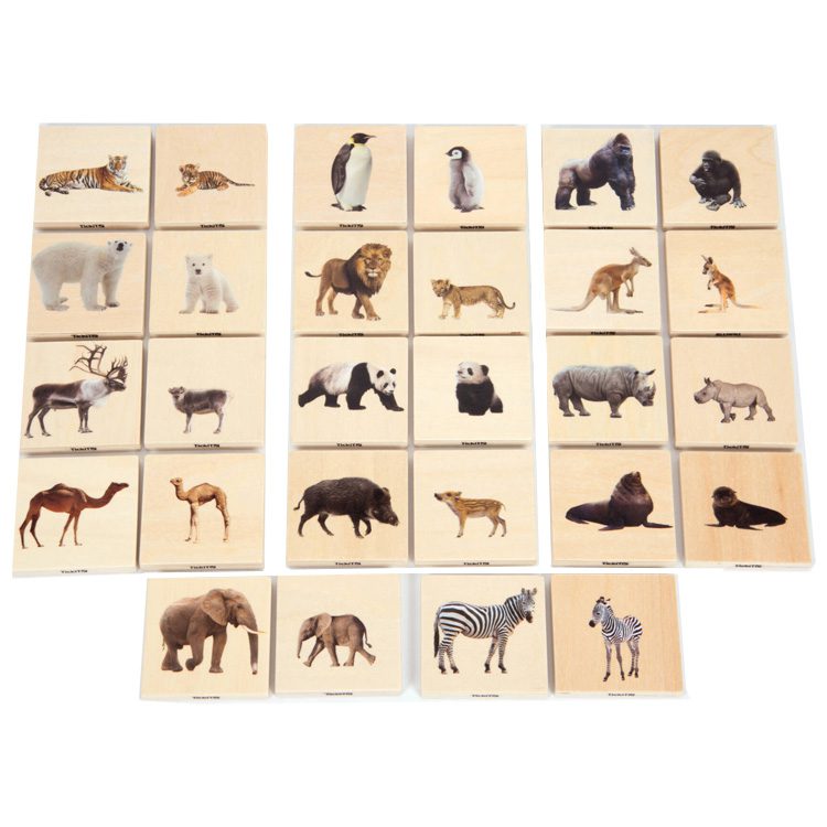 WILD ANIMAL FAMILY MATCH