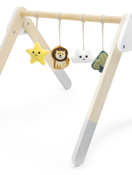 Baby Play Gym