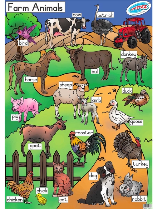 Farm-animals-poster