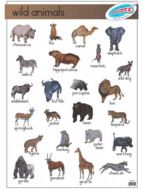 wild-animals-poster-1